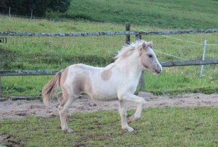 Blettur vom Berghof 2